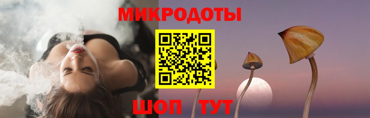 купить наркоту  Галлюциногенные грибы ЛСД  Вход с VPN  Курганинск  Галлюциногенные грибы Cubensis 